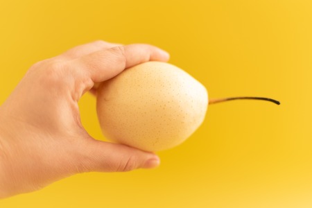 yellow pear in female hands on yellow backgroundの写真素材