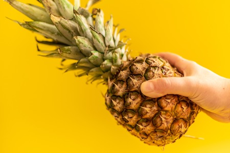 Female hand holding ripe pineapple on yellow backgroundの写真素材