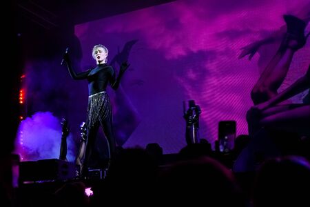 cheering crowd at a concert, show neon people scene