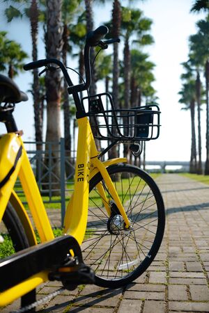 Yellow city stylish bike on palm alley Sochi Russia.adventure trip tour outdoor travel. the beginning of the journey start.の写真素材