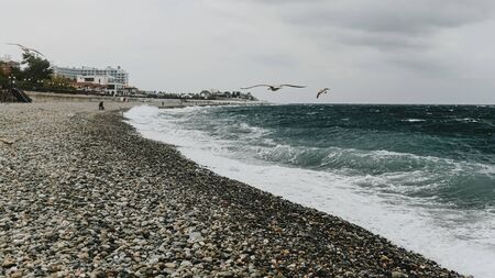 stormy sea cloudy sky waves rocky shore seagulls