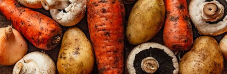 set of fresh village vegetables on the Board, banner background.の写真素材