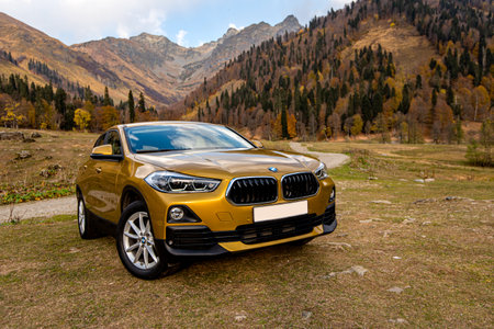 20 November 2020 Russia. Autumn nature, golden bmw x2のeditorial素材