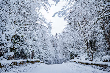 Mountain Road Winter Landscape Snow Path Automobile road