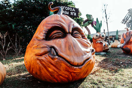 Halloween Animated Vegetables Pumpkin Onion with Eyes Carrot with Mouthの写真素材