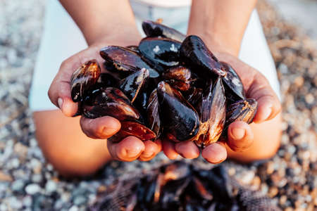 fresh catch of mussels on the beach in the hands of women fisherman close upの写真素材