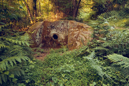 dolmens in the forest. cloudy dark mystical jungle with ancient ruins of a part of the rockの写真素材