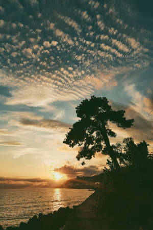 Sunset on the shore of tropical sea. Summer vacation.の写真素材