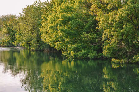 Tranquil landscape at a lake trees reflected symmetrically in the clean blue water