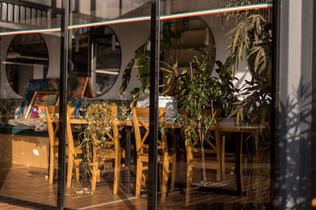 Office coworking behind glass, lots of greenery, art space.のeditorial素材