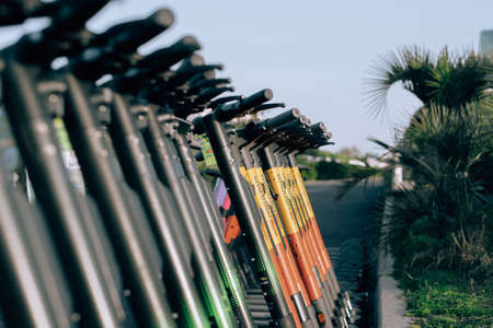 Scooter rentals are lined up Electric scooter in the parking lot in the park. There are many yellow electric scooters. city electric scooter. Electric city transport concept. Eco friendly city travel.のeditorial素材