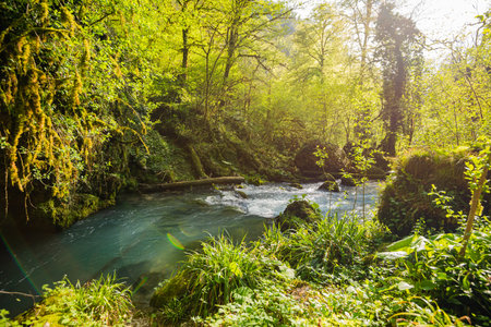 A stormy mountain river blue water flows among the jungle forest