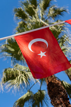Turkish flag in a sunny day with palm trees and blue sky on the background. Turkey's national flagの写真素材