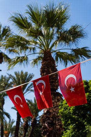 Turkish flag in a sunny day with palm trees and blue sky on the background. Turkey's national flagの写真素材