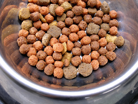 close up shot of dog food on metal plate