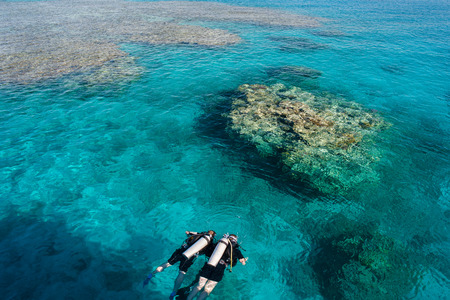 Divers in the coral sea with clear water looking into the water. Scuba diving activityの写真素材