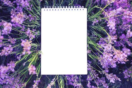 Empty notepad on on lavender background. Concept school supplies. Copy space for your text. Flat lay style. Top view.の写真素材