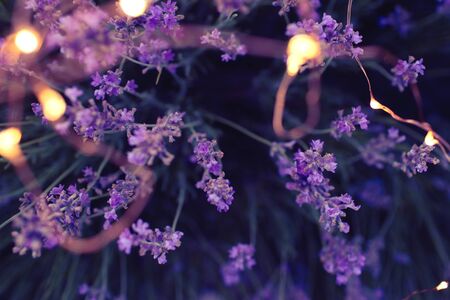 Lavender background with golden bokeh circles. Copy space for your text. Flat lay style. Top view.の写真素材