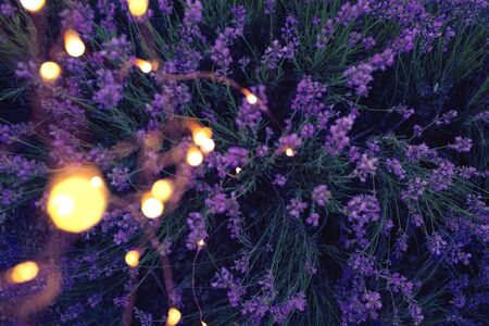 Lavender background with golden bokeh circles. Copy space for your text. Flat lay style. Top view.