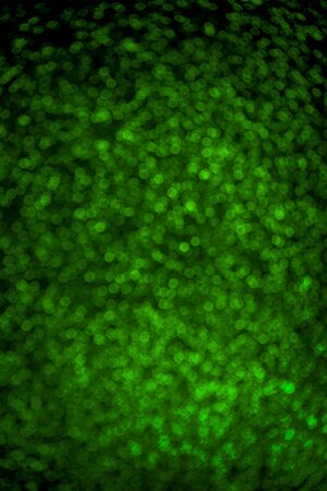 UFO green sparkling background. Blurred glitter background. Holiday background. Festive concept.の写真素材