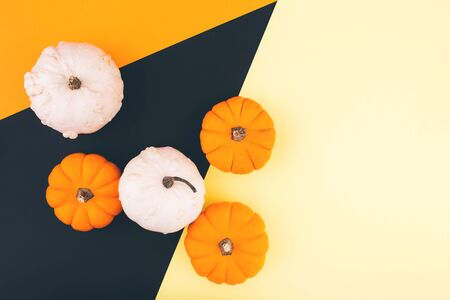 Halloween pumpkins on orange, yellow and black background. Place for design. Flat lay, copy space, top view. Happy Halloween Card.の写真素材