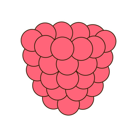 Raspberry isolated on white background. Pink raspberry icon in flat and cartoon styleのイラスト素材