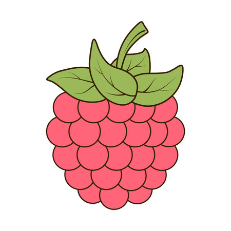 Raspberry with leaves isolated on white background. Pink raspberry with leaves icon for package design. Vector illustration of fruits and berries in flat and cartoon style.のイラスト素材