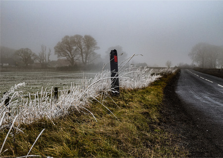 Air frost not ground frost due to freezing fog.の写真素材