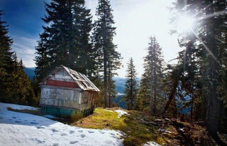 Old wooden cottageの写真素材