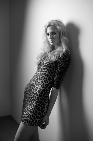 Attractive sexy blonde in animal print tight fit short dress posing provocatively indoor. Portrait of sensual woman in classic boudoir scene against a wall. Beautiful fair hair female, indoor shot.の写真素材