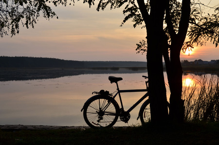 The bicycle near the tree on the lake in the eveningの写真素材