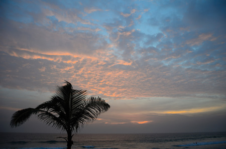 Sky over the Indian Ocean in Sri Lanka and the palm treeの写真素材