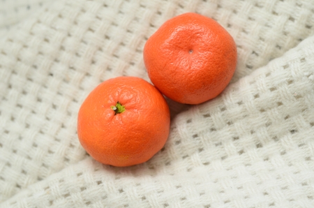 Two mandarins on the white woolen plaidの写真素材