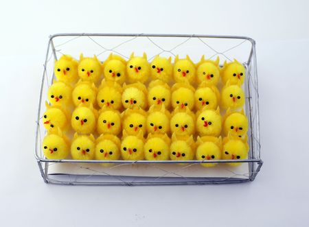 Decorative chicks