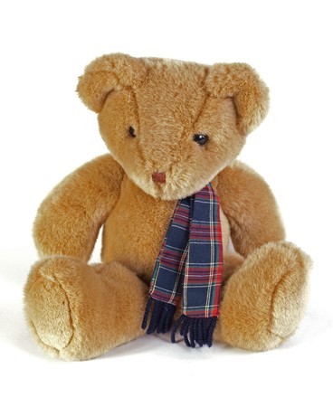 Teddy Bear with a tartan scaf on a white background.の写真素材
