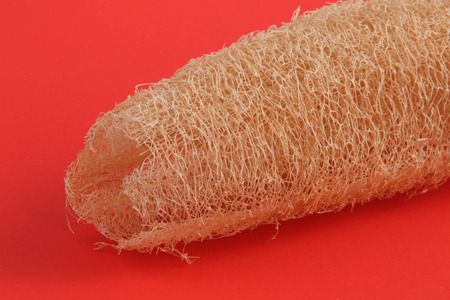 Close up photo of a luffaの写真素材