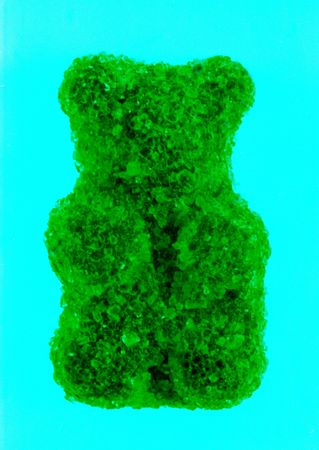 sweet bearの写真素材