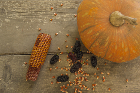 blacks mulberry and corn kernels to pop corn on the rough wooden table.の写真素材