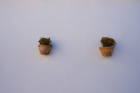 Pair of terracotta pots with cespo of colorful flowers on a white background. Centered and symmetrical image. Puglia, Italy.の写真素材