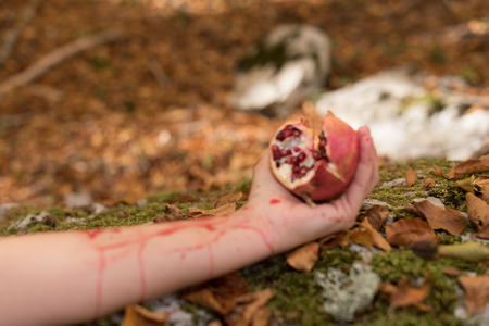 Closeup of Pomegranate in woman's hand. Autumn, Mediterranean forest. Rite, lymph, nourishment, life. Beans and pomegranate juice, red fruits, antioxidants, protective, beauty, flavonoids.の写真素材