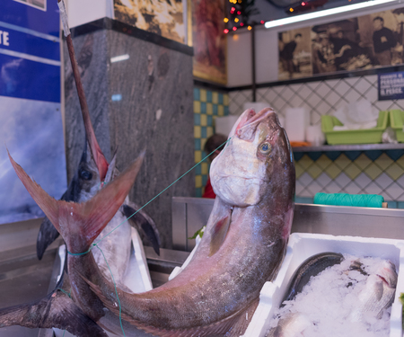 Italian fishery, freshly caught fish, fish on the naco of the sale. Close up, fish on ice. Goblets,...