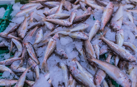 Italian fishery, freshly caught fish, fish on the naco of the sale. Close up, fish on ice. Goblets,...