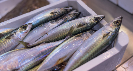 Close up, fish on ice. Goblets, bits, clams, mackerel, squid, lobster, sword fish, squid, soup fish.の写真素材