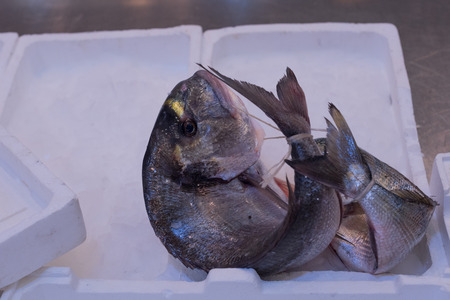 Italian fishery, freshly caught fish, fish on the naco of the sale. Close up, fish on ice. Goblets, bits, clams, mackerel, squid, lobster, sword fish, squid, soup fish.の写真素材