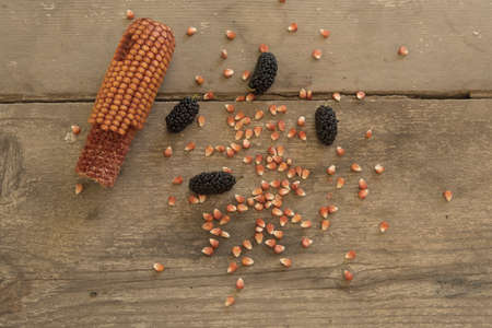 blacks mulberry and corn kernels to pop corn on the rough wooden table.の写真素材