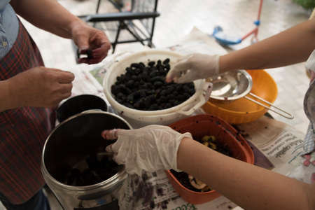 Jam Mulberry balcks. Preparation. Fruits in the pot whit chopped sugar and strawberries.の写真素材