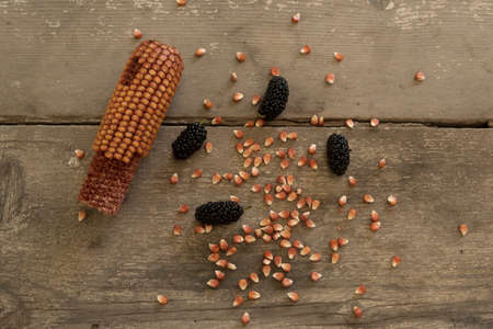 Bowl of blacks mulberry and corn kernels to pop corn on the rough wooden table.の写真素材