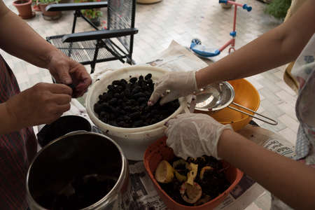 Jam Mulberry balcks. Preparation. Fruits in the pot whit chopped sugar and strawberries.の写真素材
