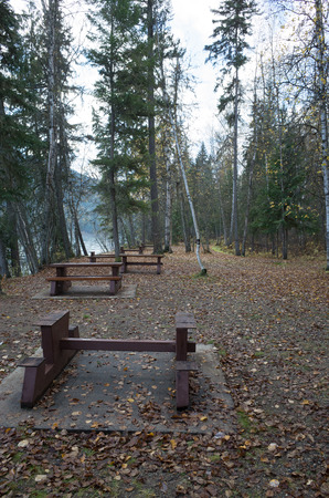 Deserted picnic area with tables alongside a lake with dead autumn leaves on the ground and tall green conifers in the backgroundの写真素材