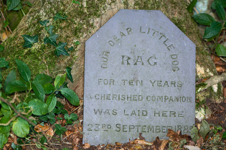 Tombstone to pet dog buried in 1885. A nineteenth century Victorian memorial to a family pet in a British woodlandのeditorial素材